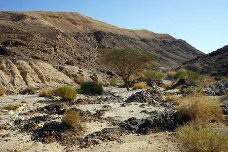 以色列内盖夫沙漠的Ravine和山丘图片