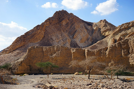 NahalShelomo靠近以色列内盖夫沙漠的埃拉特图片