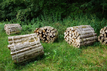 瑞士绿草上木柴的堆积图片