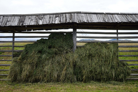Hay在斯洛文尼亚农场田地的屋顶下图片