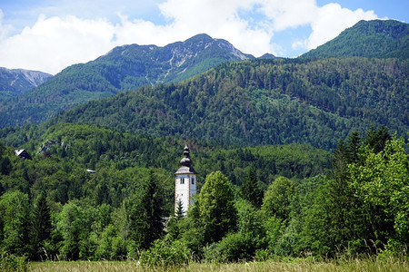 斯洛文尼亚Bohinj湖附近山中的教堂塔和森林图片