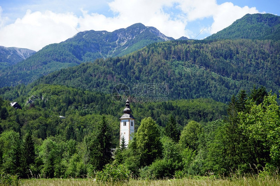 斯洛文尼亚Bohinj湖附近山中的教堂塔和森林图片