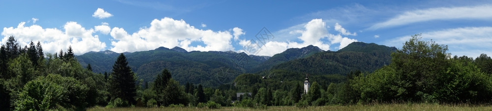 斯洛文尼亚Bohinj湖附近教堂塔和森林全景图片