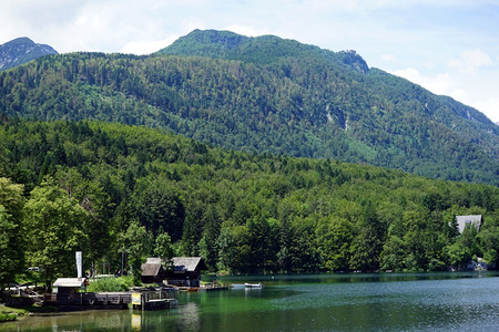 斯洛文尼亚Bohinj湖和房屋图片