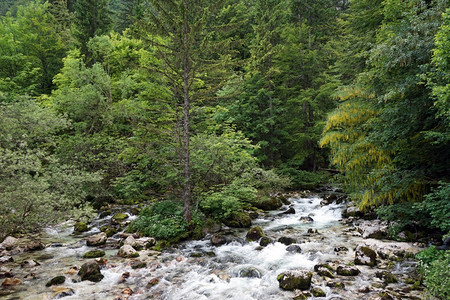 特里格拉夫公园山区河图片