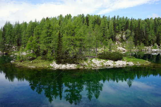 斯洛文尼亚特里格拉夫公园森林和山丘湖图片