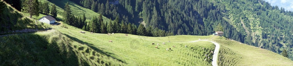 在利赫滕斯坦山坡上登和图片