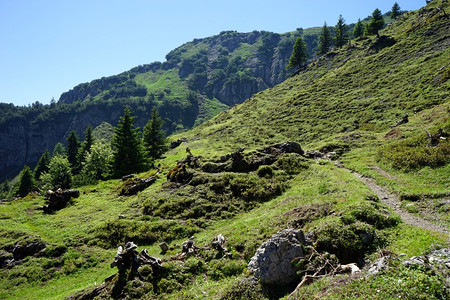 列克滕斯坦山坡上的徒步足迹图片