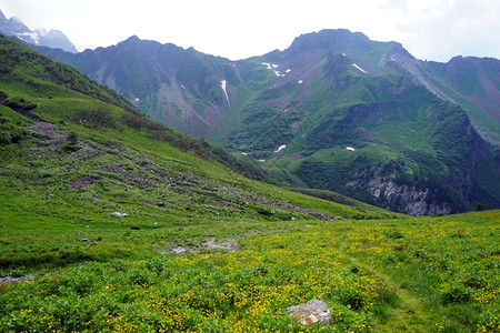 Lichtenstestein山区绿谷的阿尔平纳河道图片