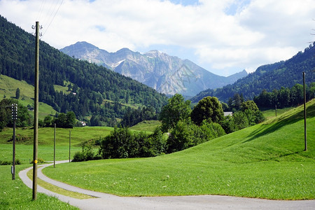 瑞士绿草田轨道图片