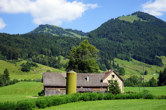 瑞士农场田地的锡德图片