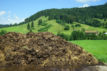 瑞士农田肥料堆积图片