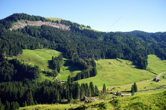 瑞士的绿河谷和山脉图片