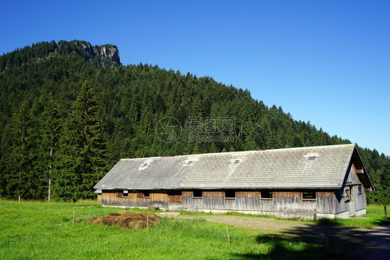 瑞士山区长木谷仓和绿草牧场图片