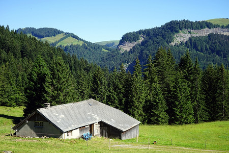 瑞士山坡上的大谷仓图片