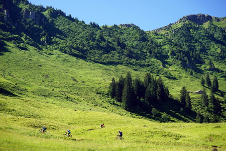 瑞士山坡绿上的自行车骑手图片