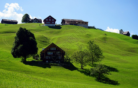 瑞士绿坡上的农舍图片