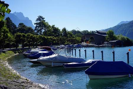 瑞士韦森湖上的船图片