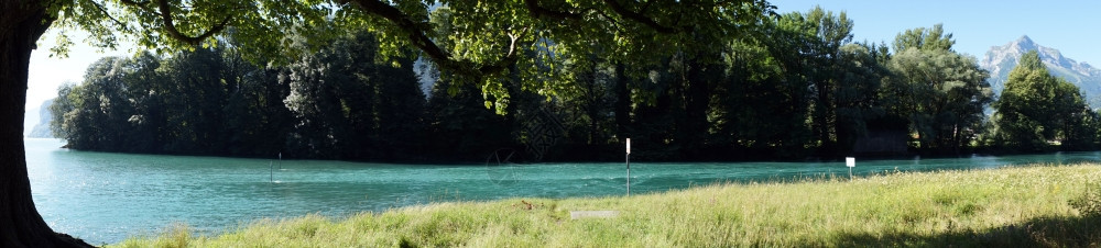 瑞士河流的大树和全景图片