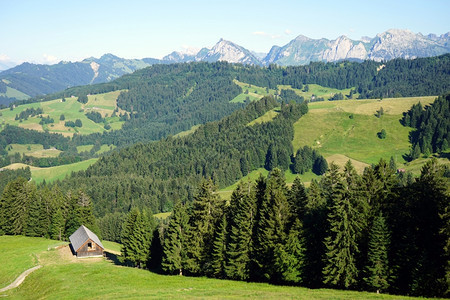瑞士森林附近的农舍图片
