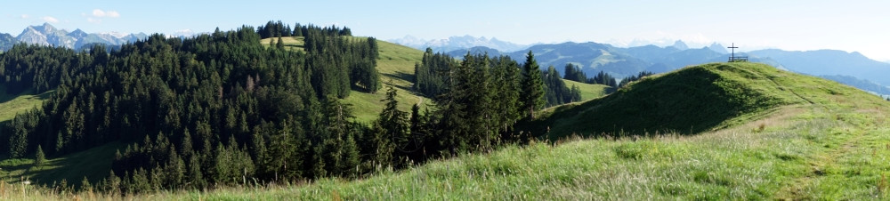 绿田全景和瑞士山丘上的图片