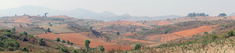 缅甸多彩田的全景图片