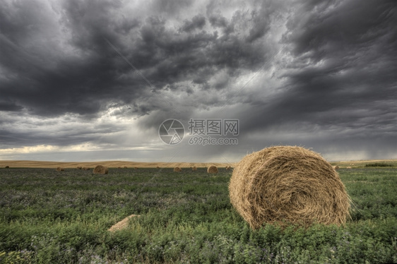 干草捆和草原风暴苜蓿田图片