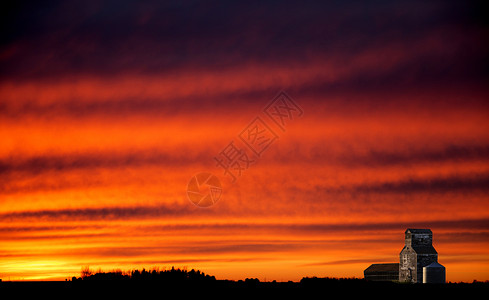 萨斯喀彻温大草原的日落图片