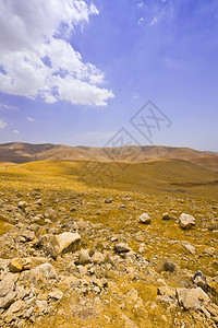 以色列萨马里亚沙丘大石图片