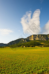 法国阿尔卑斯山的Fields环绕农场图片