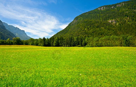 德国巴伐利亚阿尔卑斯山绿草图片