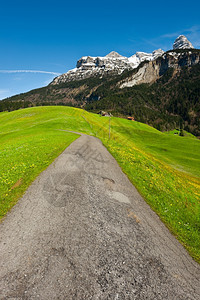 通往瑞士阿尔卑斯山农庄的阿法特路图片