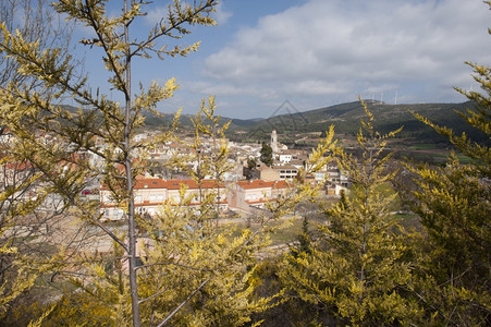 透过典型的中世纪西班牙城市的树木图片
