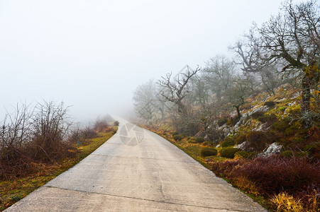 通过比利牛斯山口的在平原路上的雾图片