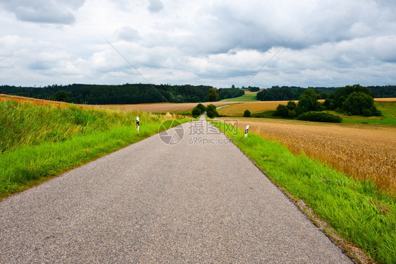 德国巴伐利亚玉米和小麦田之间的石灰路图片