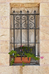以色列用鲜花装饰窗口图片