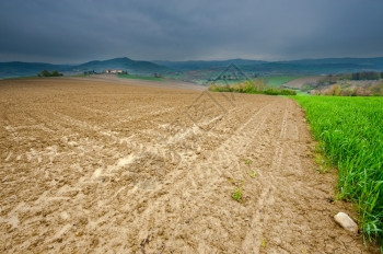 意大利农庄环绕着雨天的田地和山丘环绕着意大利农场图片
