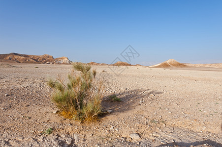 约旦河西岸的犹太沙漠图片