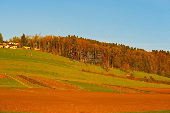 环绕着森林和耕地的瑞士村庄图片