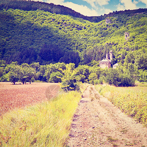 法国阿尔卑斯山的小麦田回溯效应图片