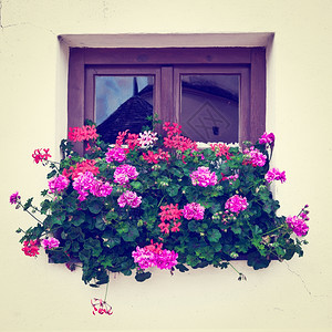 巴伐利亚窗口装饰配有鲜花回溯效应图片