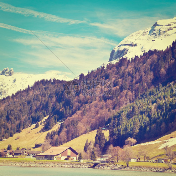 瑞士雪峰阿尔卑斯山背景下的湖回溯效应图片
