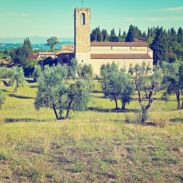 意大利橄榄林中间的教堂Instagram效果图片