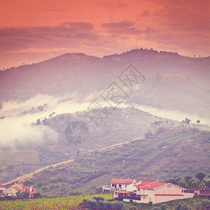 葡萄牙山上广阔的葡萄园Instagram效应图片