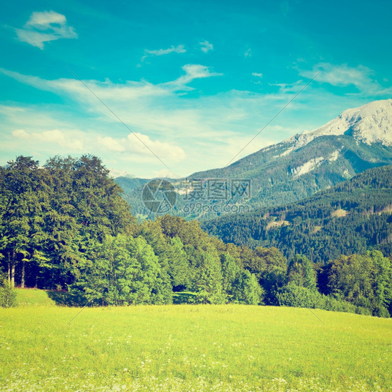 德国巴伐利亚阿尔卑斯山脉农场Instagram效应图片