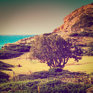 典型海景希腊罗得斯岛带鲁格德海岸Instagram效应图片