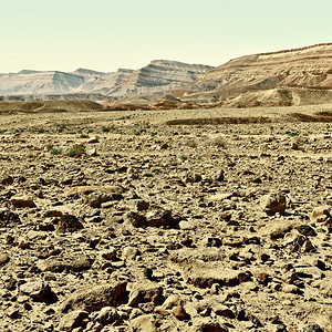 以色列Negev沙漠大爪石Retro图像过滤风格图片