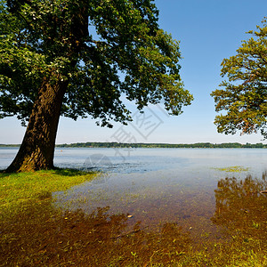 德国巴伐利亚Simssee湖春季洪水图片