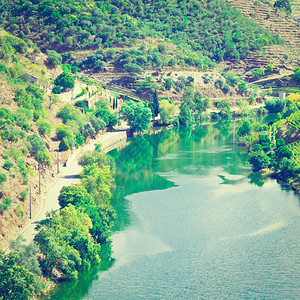 葡萄牙杜罗河谷的葡萄园Instagram效应图片