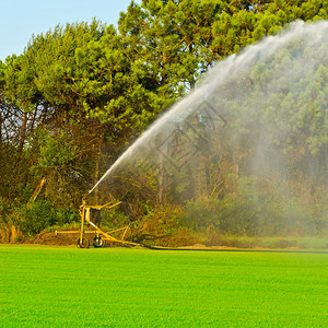 葡萄牙田地上喷水器灌溉图片
